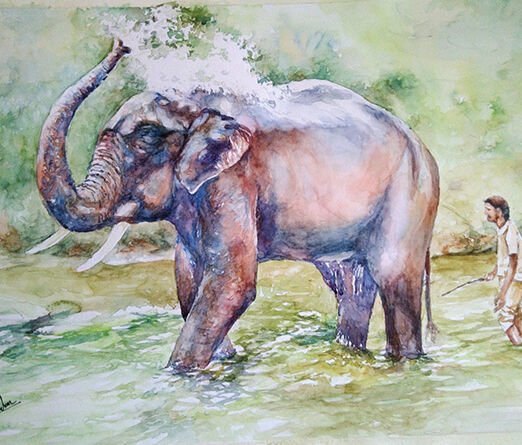 balamugundan -Elephant