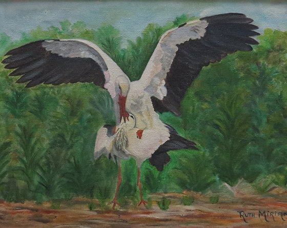 STORKS mating – Arts Crafts